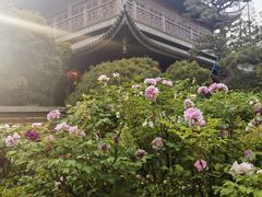 -龙华寺