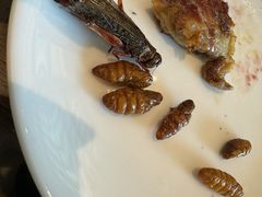 -青岛蓝海御华大饭店（金沙滩店）·蓝钻国际美食自助百汇