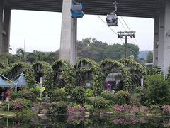-云溪植物园
