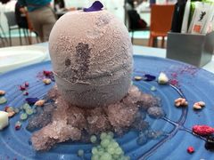 -视博茶点(美狮美高梅店)
