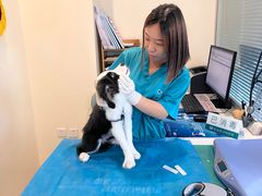 -美迦爱-牙专科·兔科·骨科诊疗中心(北苑店)