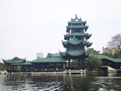 -桂湖森林公园