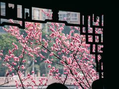 -望江楼公园