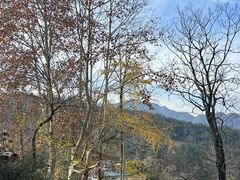 -树山生态村