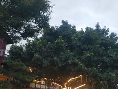 -磁器口古镇
