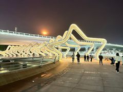 -演武大桥观景平台