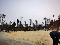 -枫香湖儿童公园