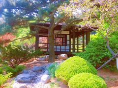-棒棰岛宾馆景区