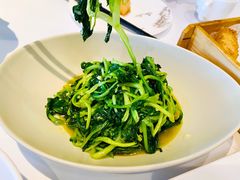清炒时蔬-松鹤楼·非遗·苏帮菜(融科店)
