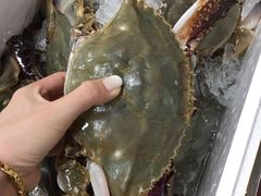 -味到1981日照海鲜·渔饺子