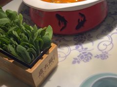 -卢大鲜鱼头捞饭(美利广场店)