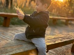 -汉长安城未央宫国家考古遗址公园