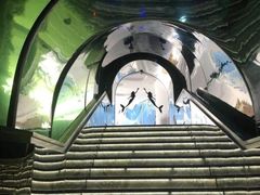 -瑞德姆美人鱼海底演艺主题餐厅(亚龙湾店)