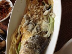 清蒸大黄花-渔家颂歌渔家味道(青石路店)