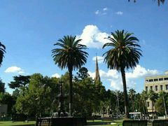 android_upload_pic-斐兹洛伊花园