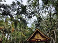 -西双版纳傣族园