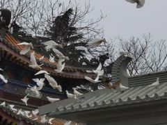 -西安大兴善寺