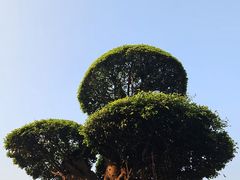 -南宁南湖公园