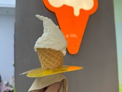 -野人先生现做冰淇淋(北京悠唐购物中心店)