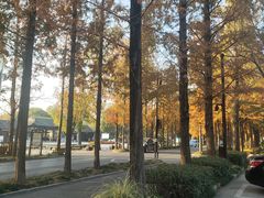 -扬州瘦西湖温泉