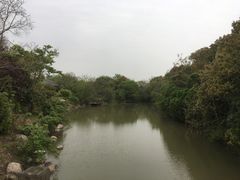 -上海海湾国家森林公园