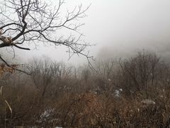 -抱龙峪