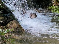 -龙门涧景区
