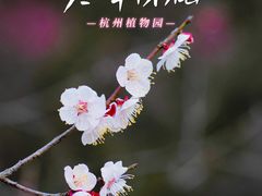 -杭州植物园