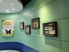 -上海昆虫博物馆