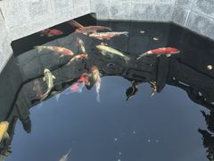 -西安市广仁寺