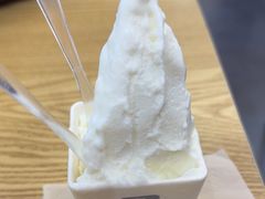 -野人先生Gelato(上海长宁龙之梦店)