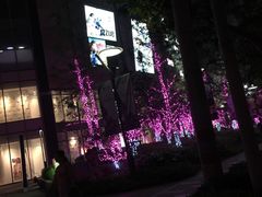 -亮子·东北特色烧烤(复悦荟店)