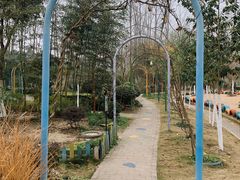 -合肥滨湖国家森林公园