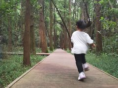 -同里国家湿地公园