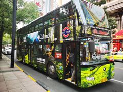 -BUS TOUR观光巴士