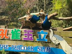 -宁波野生动物园
