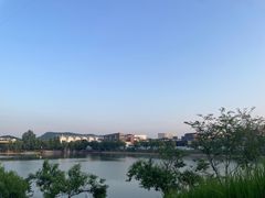 -羊山湖公园