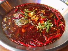 -红牌美蛙鱼头火锅(万辉国际广场店)