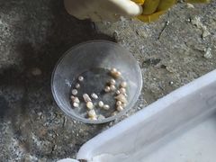 -南戴河旅游度假区