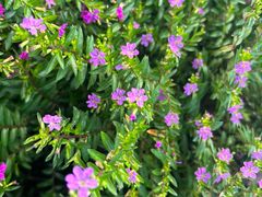 -重庆中央公园(渝北区)