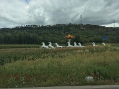 -塞罕坝国家级自然保护区