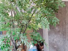 -老娘舅(吴山路店)