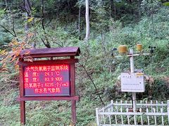 -牛背梁国家森林公园