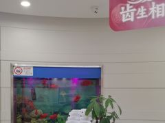 -雅悦齿科(顾村公园店)