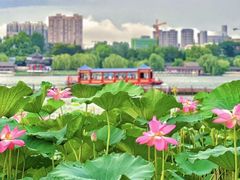 -济南大明湖景区