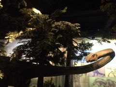 iphone_upload_pic-浙江省科技馆