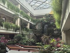 -白天鹅宾馆·月兔吧
