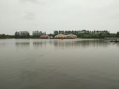 -上海长兴岛郊野公园