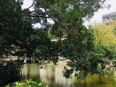 -黄埔古港