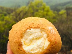 -紫金山山顶公园